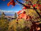 photo thumbnail #7