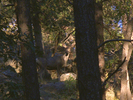 photo thumbnail #14