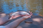 photo thumbnail #2