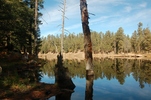 photo thumbnail #12