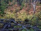 photo thumbnail #8