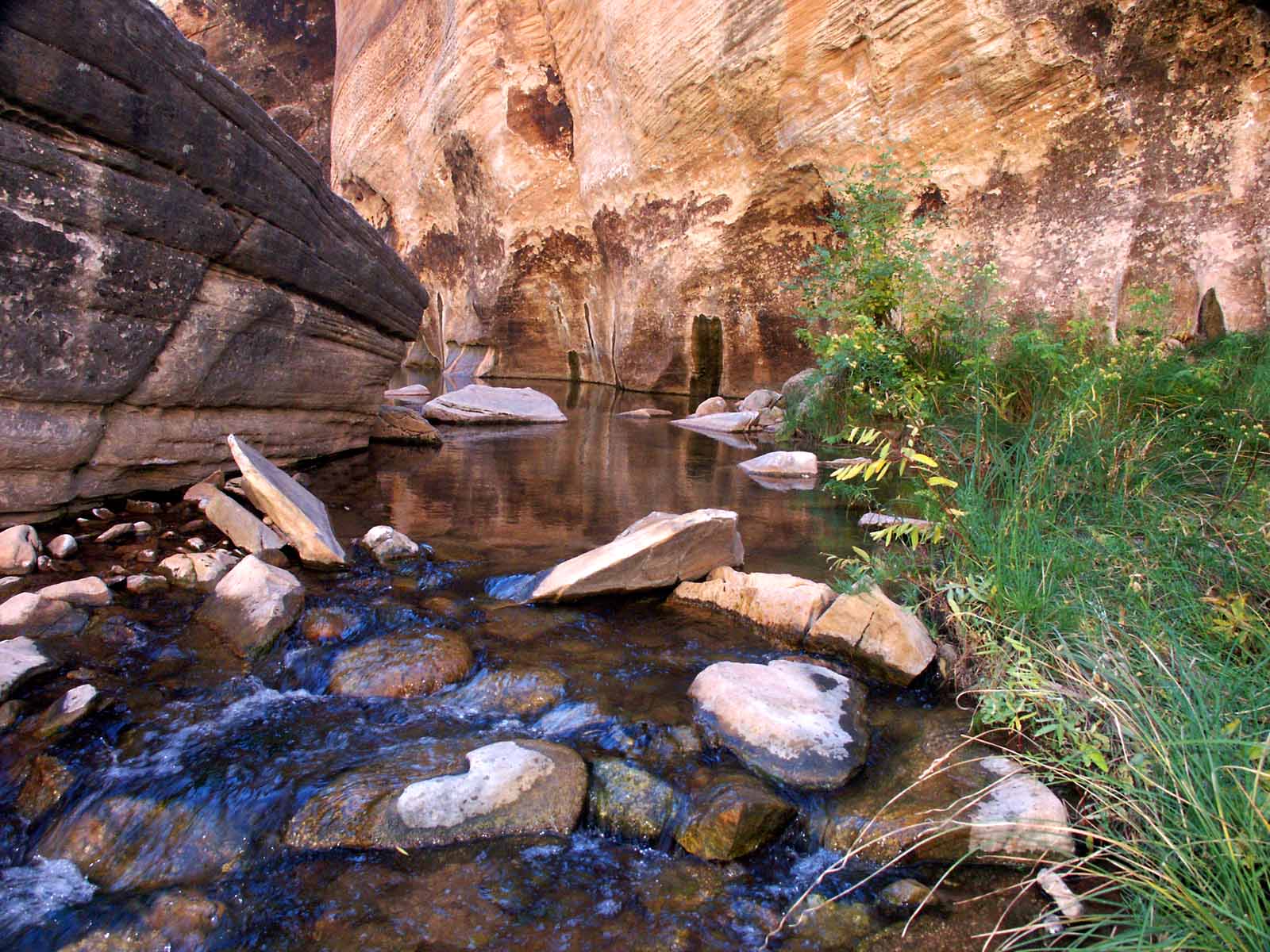 View from clear creeks 澄んだ小川の景色 View from clear creeks