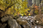 photo thumbnail #13