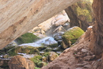 recent photo