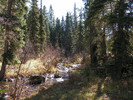 photo thumbnail #10