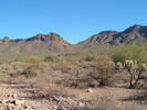 photo thumbnail #1