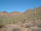 photo thumbnail #4