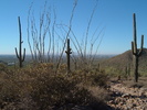 photo thumbnail #6