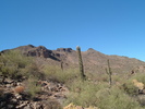 photo thumbnail #12