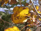 photo thumbnail #3