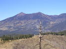photo thumbnail #10