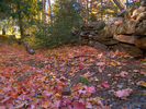 photo thumbnail #2