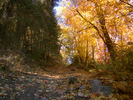 photo thumbnail #6