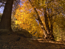 photo thumbnail #9