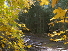 photo thumbnail #10
