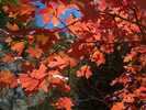 photo thumbnail #13