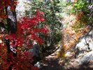 photo thumbnail #6