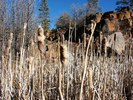 photo thumbnail #2
