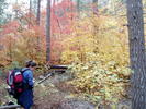 photo thumbnail #14