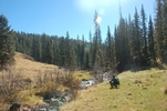 photo thumbnail #7