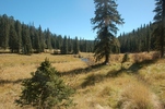 photo thumbnail #10