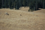 photo thumbnail #12