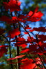 photo thumbnail #11