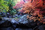 photo thumbnail #9