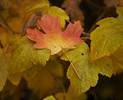 photo thumbnail #13