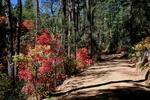 photo thumbnail #1