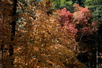 photo thumbnail #12