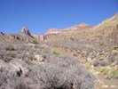 photo thumbnail #10