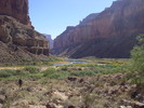 photo thumbnail #14