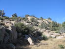 photo thumbnail #7