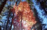 photo thumbnail #13