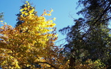 photo thumbnail #15