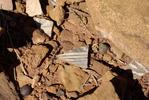 photo thumbnail #13