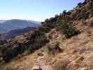 photo thumbnail #3