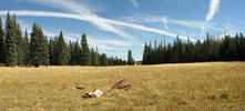 photo thumbnail #2