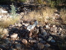 photo thumbnail #3