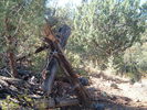photo thumbnail #11