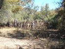 photo thumbnail #14