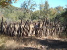 photo thumbnail #15