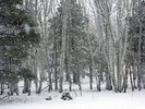 photo thumbnail #11
