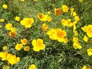 photo thumbnail #12