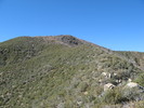photo thumbnail #8