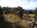 photo thumbnail #2