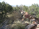 photo thumbnail #3