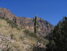 photo thumbnail #9