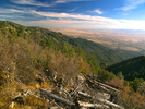photo thumbnail #2